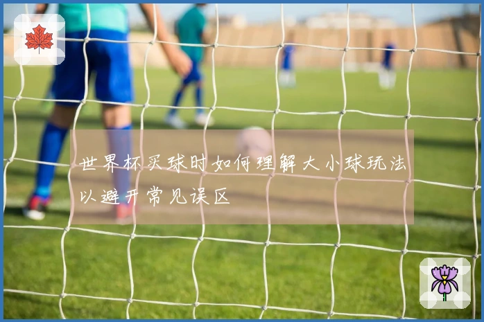 世界杯买球时如何理解大小球玩法以避开常见误区