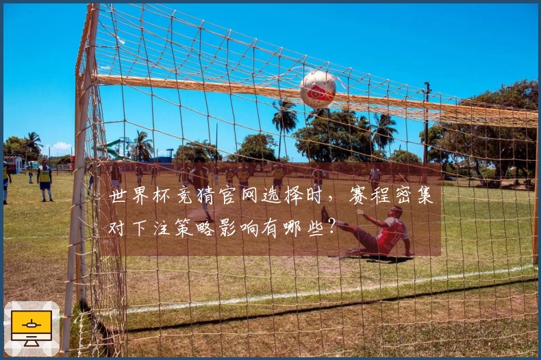 世界杯竞猜官网选择时，赛程密集对下注策略影响有哪些？