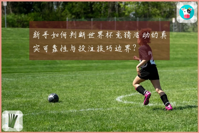 新手如何判断世界杯竞猜活动的真实可靠性与投注技巧边界？