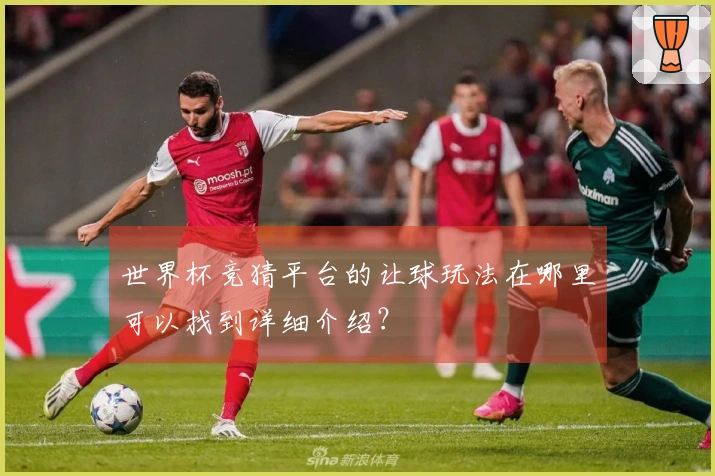 世界杯竞猜平台的让球玩法在哪里可以找到详细介绍？