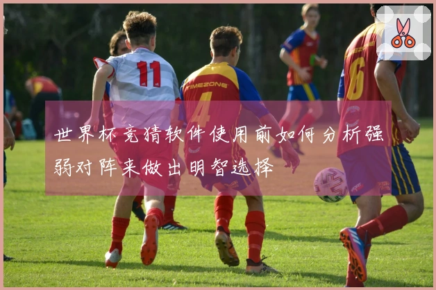 世界杯竞猜软件使用前如何分析强弱对阵来做出明智选择