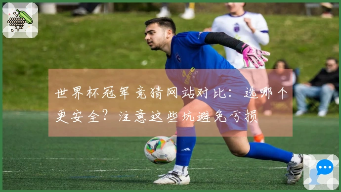 世界杯冠军竞猜网站对比：选哪个更安全？注意这些坑避免亏损