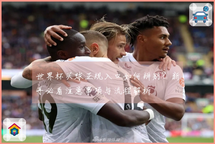 世界杯买球正规入口如何辨别？新手必看注意事项与流程解析