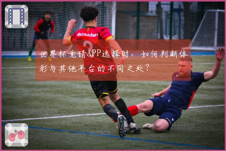 世界杯竞猜APP选择时，如何判断体彩与其他平台的不同之处？