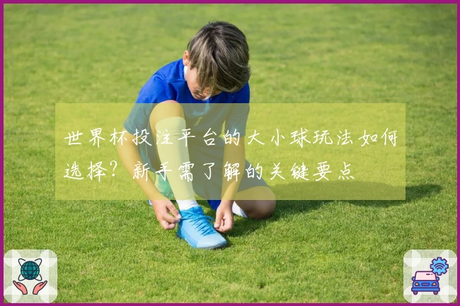 世界杯投注平台的大小球玩法如何选择？新手需了解的关键要点