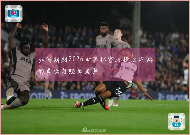 如何辨别2026世界杯官方投注网站的真伪与赔率差异