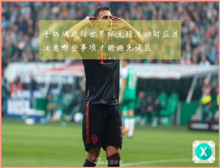 手机端进行世界杯竞猜活动时应该注意哪些事项才能避免误区