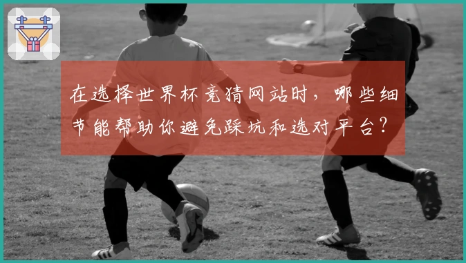 在选择世界杯竞猜网站时，哪些细节能帮助你避免踩坑和选对平台？