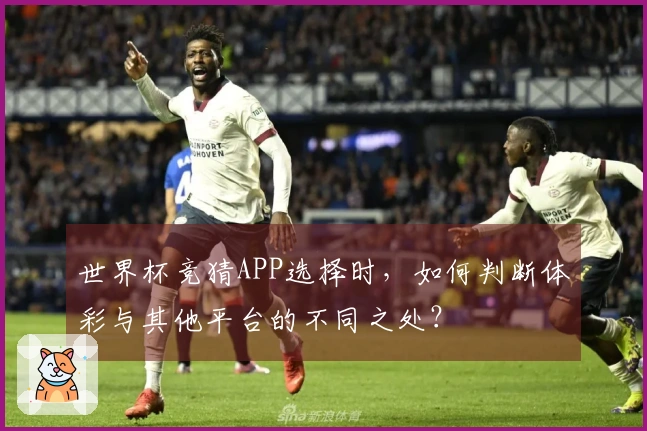 世界杯竞猜APP选择时，如何判断体彩与其他平台的不同之处？