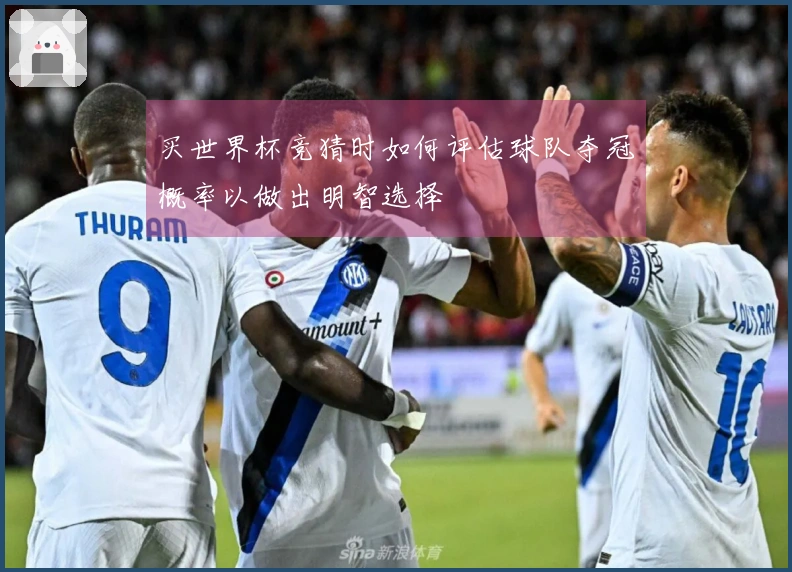 买世界杯竞猜时如何评估球队夺冠概率以做出明智选择