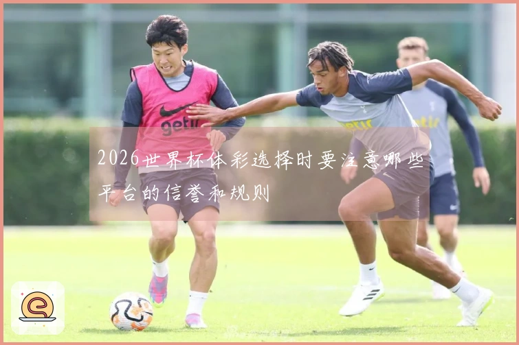 2026世界杯体彩选择时要注意哪些平台的信誉和规则