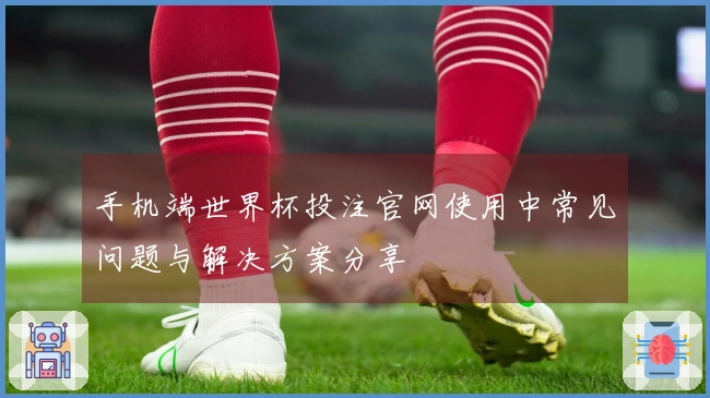 手机端世界杯投注官网使用中常见问题与解决方案分享
