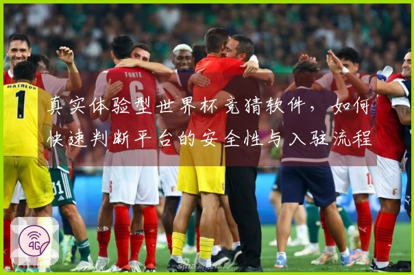 真实体验型世界杯竞猜软件，如何快速判断平台的安全性与入驻流程？