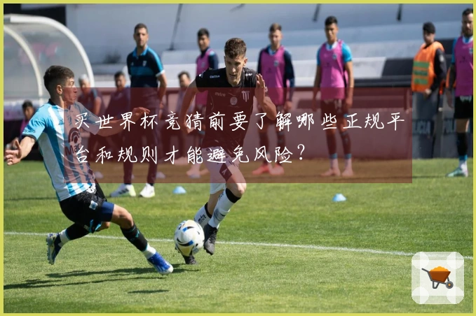 买世界杯竞猜前要了解哪些正规平台和规则才能避免风险？