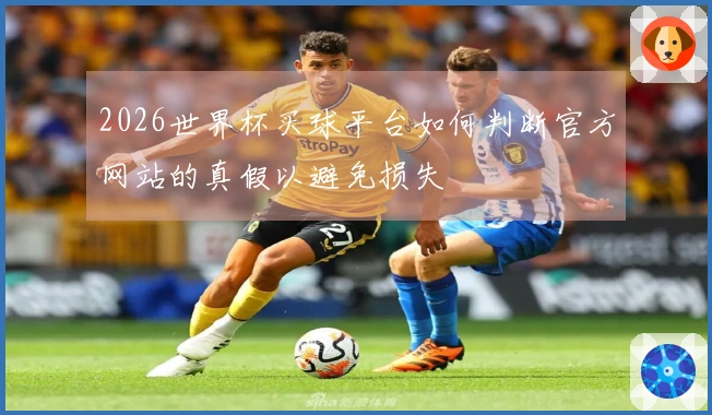 2026世界杯买球平台如何判断官方网站的真假以避免损失