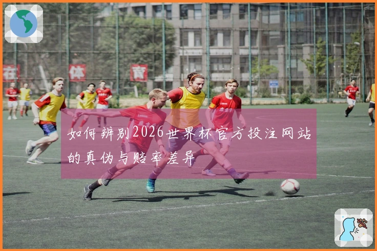 如何辨别2026世界杯官方投注网站的真伪与赔率差异
