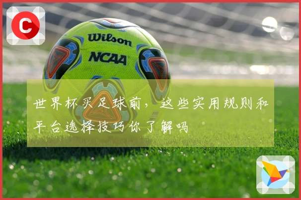 世界杯买足球前，这些实用规则和平台选择技巧你了解吗