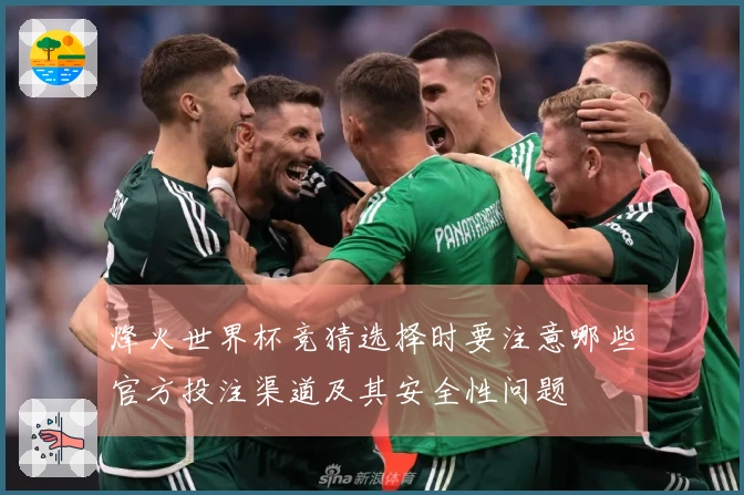 烽火世界杯竞猜选择时要注意哪些官方投注渠道及其安全性问题