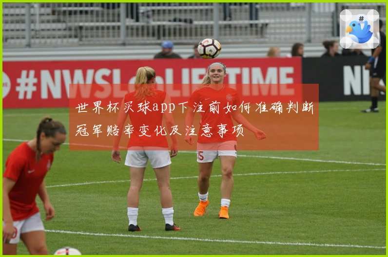 世界杯买球app下注前如何准确判断冠军赔率变化及注意事项