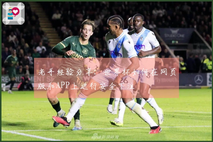 老手经验分享：世界杯如何在网页版和APP上进行安全下注