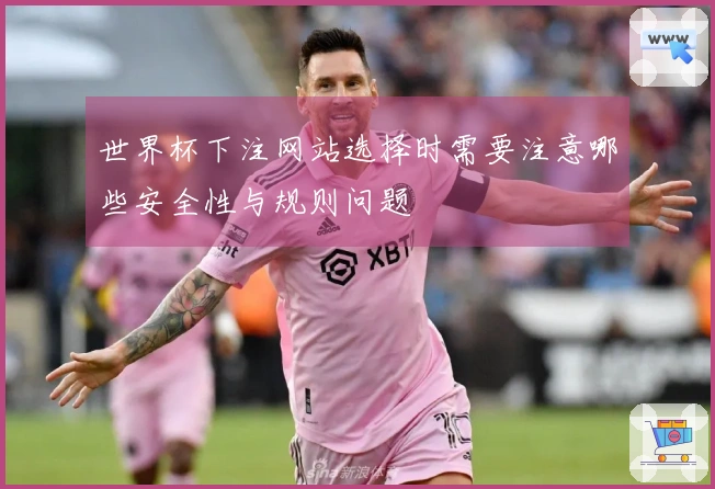 世界杯下注网站选择时需要注意哪些安全性与规则问题