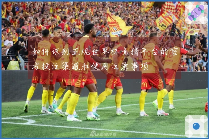 如何识别正规世界杯竞猜平台的官方投注渠道和使用注意事项