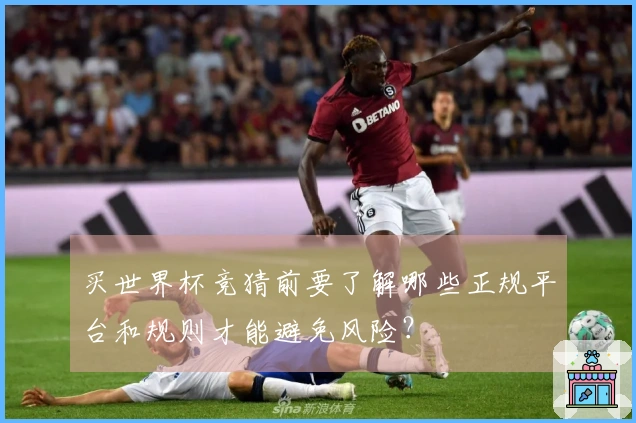 买世界杯竞猜前要了解哪些正规平台和规则才能避免风险？
