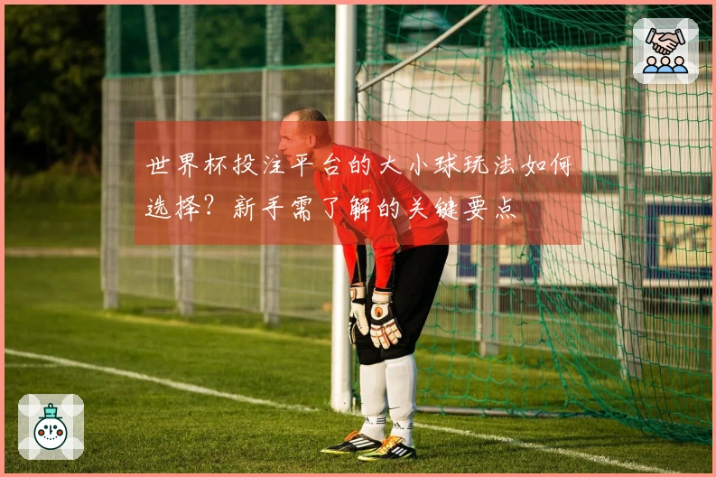 世界杯投注平台的大小球玩法如何选择？新手需了解的关键要点