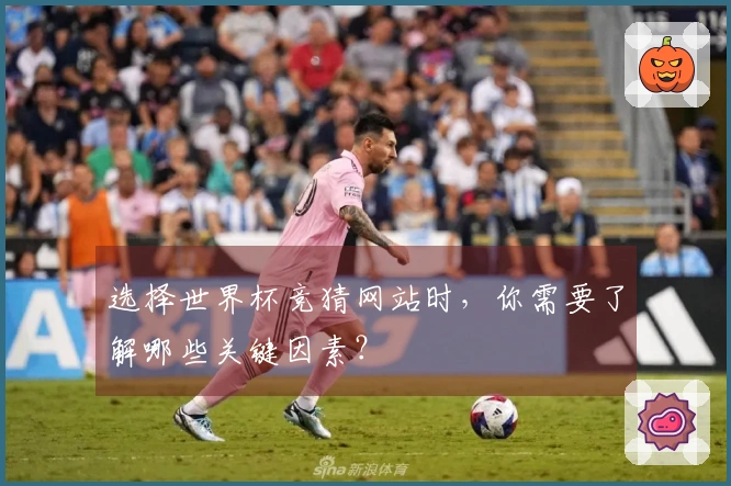 选择世界杯竞猜网站时，你需要了解哪些关键因素？
