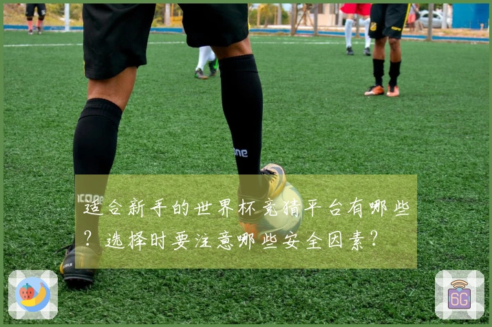 适合新手的世界杯竞猜平台有哪些？选择时要注意哪些安全因素？